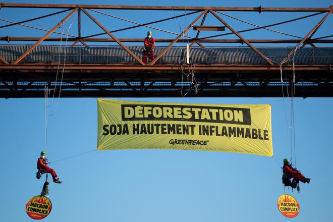 Greenpeace, un demi-siècle d’écologie intransigeante