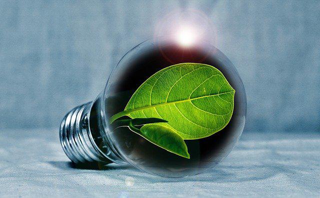 L’électricité verte : un espoir pour la planète