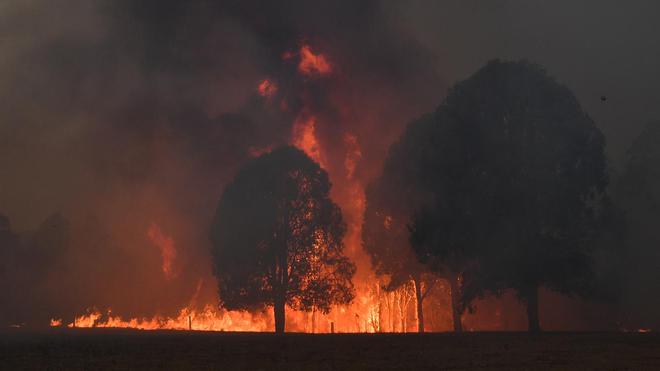 Les violents incendies de cet été ont causé des émissions record de CO2
