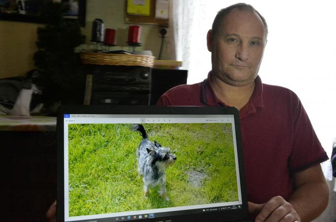 Leur chien battu à mort près de Laon