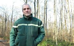 Forêts en Île-de-France : pour combattre les «idées reçues», l’ONF organise ses «portes» ouvertes