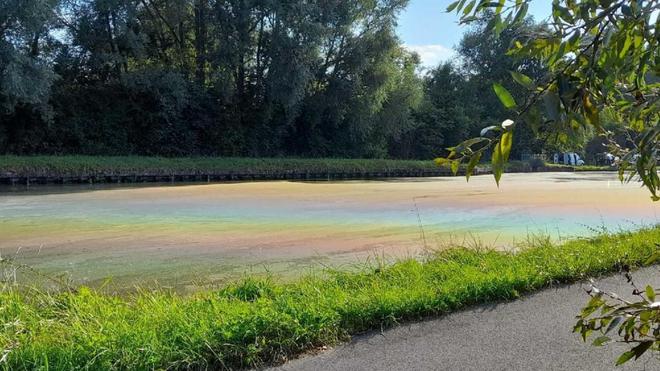 Nappes suspectes sur le canal à Noyon: l’hypothèse des pollens contestée par les pêcheurs et riverains