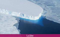 "Actuellement, seul 5% de l'océan Antarctique est protégé" : des ONG appellent à renforcer la protection de l'Antarctique