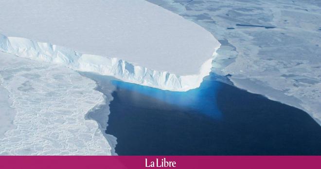 "Actuellement, seul 5% de l'océan Antarctique est protégé" : des ONG appellent à renforcer la protection de l'Antarctique