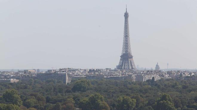 Plus d’espaces verts, moins d’abattages d’arbres : le plan d’Hidalgo pour faire de Paris «une ville jardin»