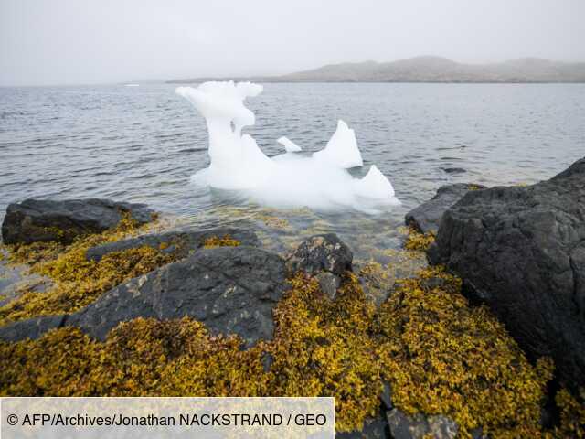 L'environnement de plus en plus couvert dans les JT, selon une étude