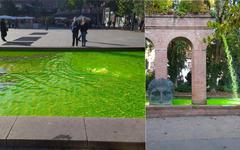De l’eau verte fluo coule des fontaines à Strasbourg