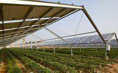 Agriculture et énergies renouvelables : vers une filière des « énergiculteurs » ?