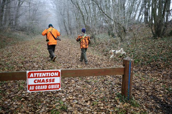 La chasse, une pratique fondamentale afin de planter les forêts de demain