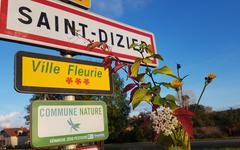 Saint-Dizier espère une deuxième libellule