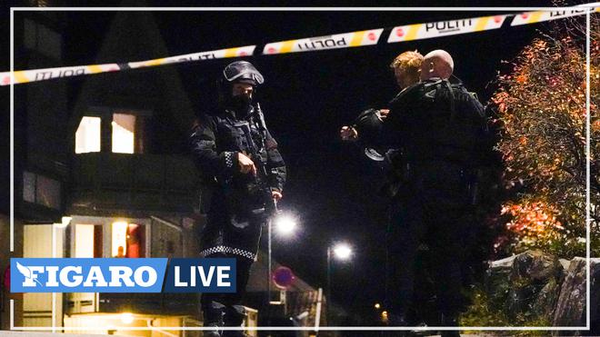 Norvège: un homme armé d'un arc et de flèches tue cinq personnes, la police n'écarte la piste terroriste