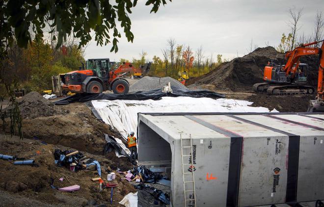 Ottawa refuse d'affirmer quand les rainettes seront protégées à Longueuil