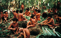 Colonialisme vert : quand des peuples autochtones sont expulsés au nom de l’écologie