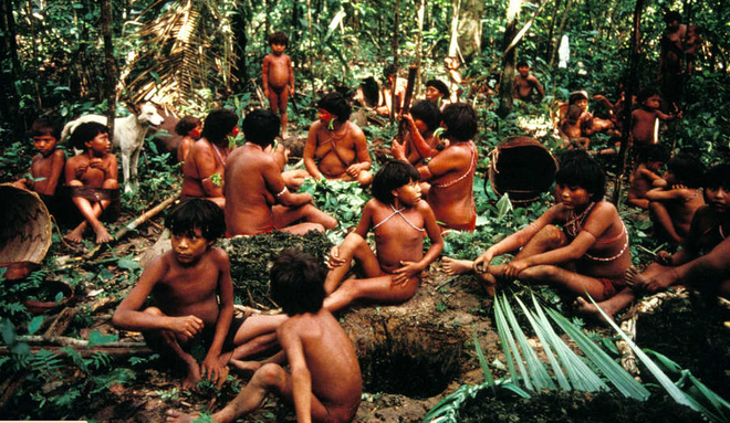 Colonialisme vert : quand des peuples autochtones sont expulsés au nom de l’écologie