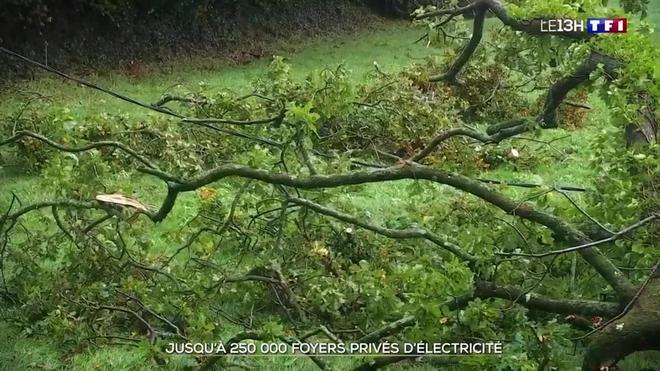 Tempête Aurore : jusqu'à 250.000 foyers privés d'électricité