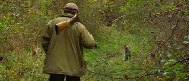 Le candidat écologiste à la présidentielle Yannick Jadot déclare vouloir interdire la chasse durant le week-end et les vacances scolaires