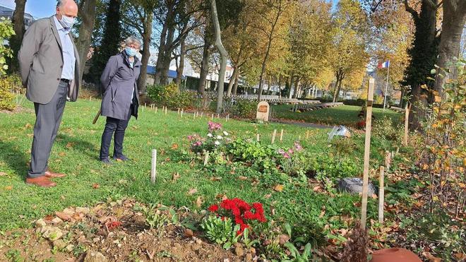 Cercueils non polluants, prairie naturelle, vêtements en coton, lin... : Paris lance ses cimetières écolos
