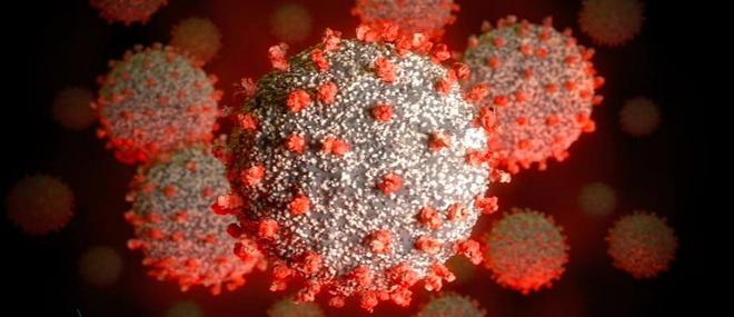 Coronavirus - La pandémie de Covid-19 a causé la mort de plus de 5 millions personnes dans le monde depuis fin décembre 2019