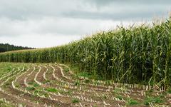 Nouvelle PAC : l’Autorité environnementale juge le plan du gouvernement français « inapte » à réduire l’impact de l’agriculture