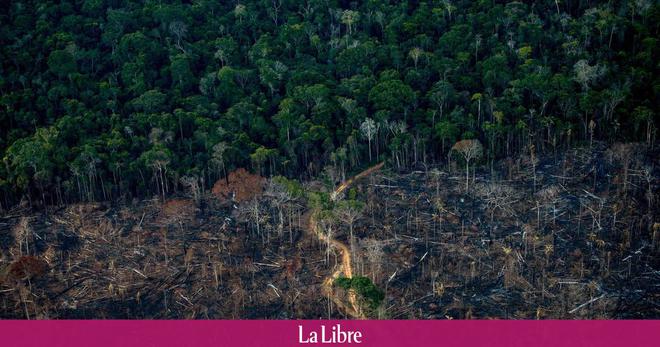 L'Amazonie, un paradis presque perdu