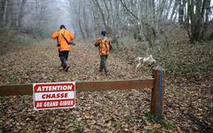 Chasse. Pour le Mouvement de la ruralité, « L’excès des verts nuit gravement aux libertés ! »