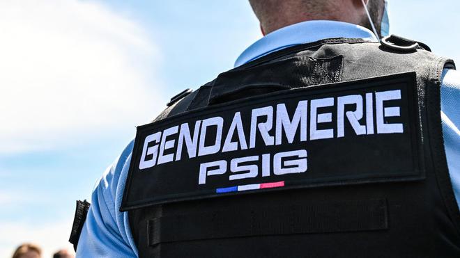 Mayenne : une joggeuse de 17 ans disparaît en forêt, 120 gendarmes à sa recherche