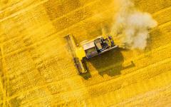 Les standards élevés de l’UE en matière de biocarburants entraveront l’approvisionnement