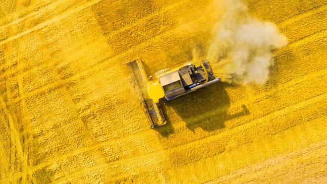 Les standards élevés de l’UE en matière de biocarburants entraveront l’approvisionnement