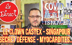 Direct du 18 nov. 2021 : Castex le clown, Cymès, J. Le Gaillard, Police, Singapour, myocardites…