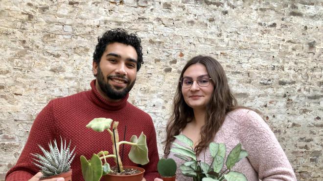 Deux Amiénois se lancent dans la vente de plantes insolites
