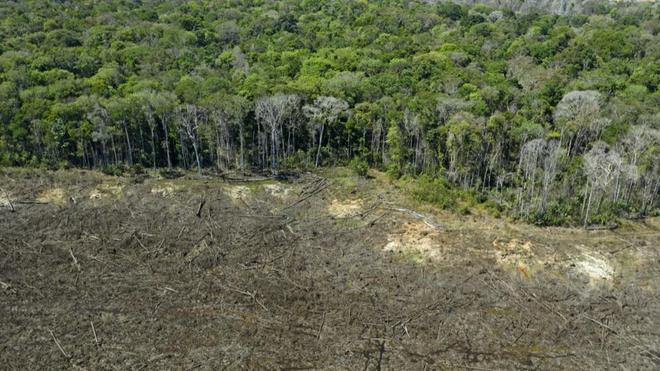 Brésil : en Amazonie, la déforestation a bondi de près de 22% en un an