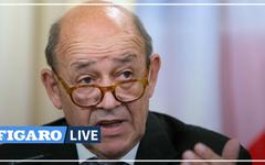 «Qu’elle y reste !»: Jean-Yves Le Drian réagit au retour de Sophie Pétronin au Mali