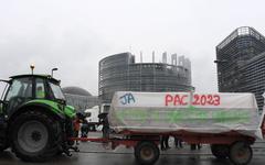 Ce que prévoit la nouvelle Politique agricole commune votée au Parlement européen