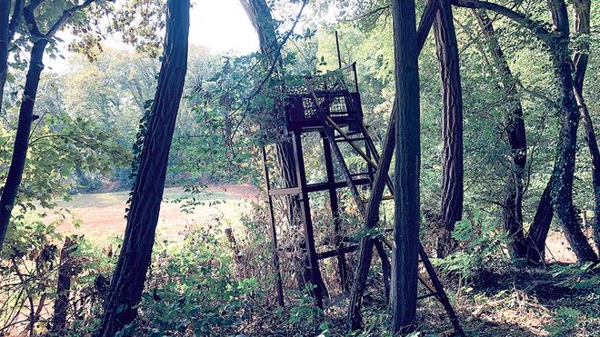 Hondainville. Le chasseur avait abattu un autre chasseur : un an de prison avec sursis