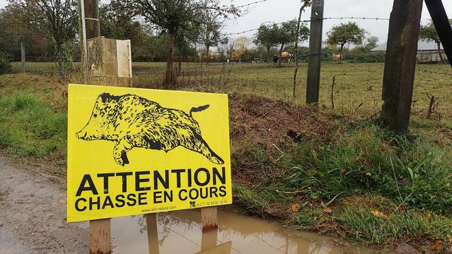 Dordogne : un chasseur tué par un autre lors d’une battue au sanglier