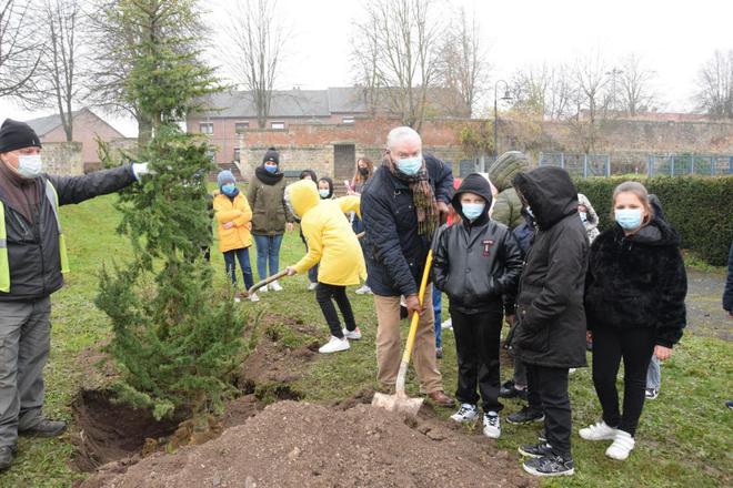 Quatre arbres remarquables plantés par les enfants à Ham