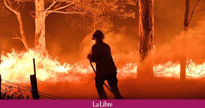 Le climat, facteur "déterminant" des feux de forêt en Australie