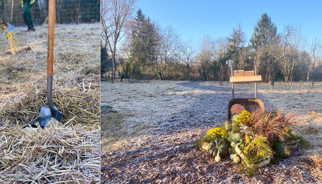 Une mini-forêt de 650m2 prend racine à Strasbourg