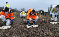 «Nous changeons de dimension» : dans le Val-d’Oise, la forêt de Pierrelaye-Bessancourt prend racine