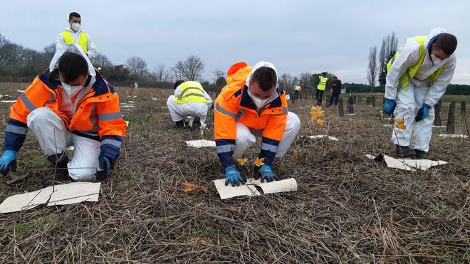 «Nous changeons de dimension» : dans le Val-d’Oise, la forêt de Pierrelaye-Bessancourt prend racine