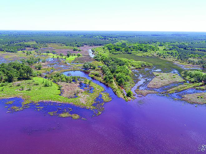 La restauration des zones humides garantira la santé des lacs
