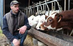 Un éleveur du Nord accuse les éoliennes de décimer son troupeau de vaches