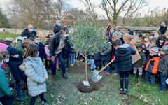 PONT-SAINT-ESPRIT Les écoliers de Notre-Dame plantent un arbre pour la planète