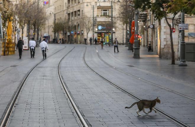 Laissez entrer nos familles en Israël ! Témoignage