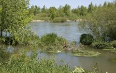 Conserver et dépolluer un fleuve, plus rentable qu'un barrage
