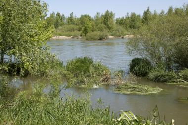 Conserver et dépolluer un fleuve, plus rentable qu'un barrage