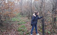 La forêt de Saint-Dizier contrôlée pour un bois de qualité