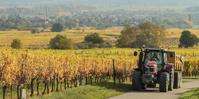 En France, une ferme sur cinq a disparu en 10 ans mais la surface agricole utile reste constante
