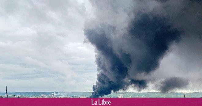 L’Europe veut harmoniser la lutte contre l’éco-criminalité