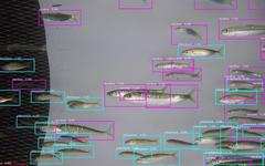 Le deep learning pour développer des filets intelligents de chalutiers au coeur du projet Game of Trawls